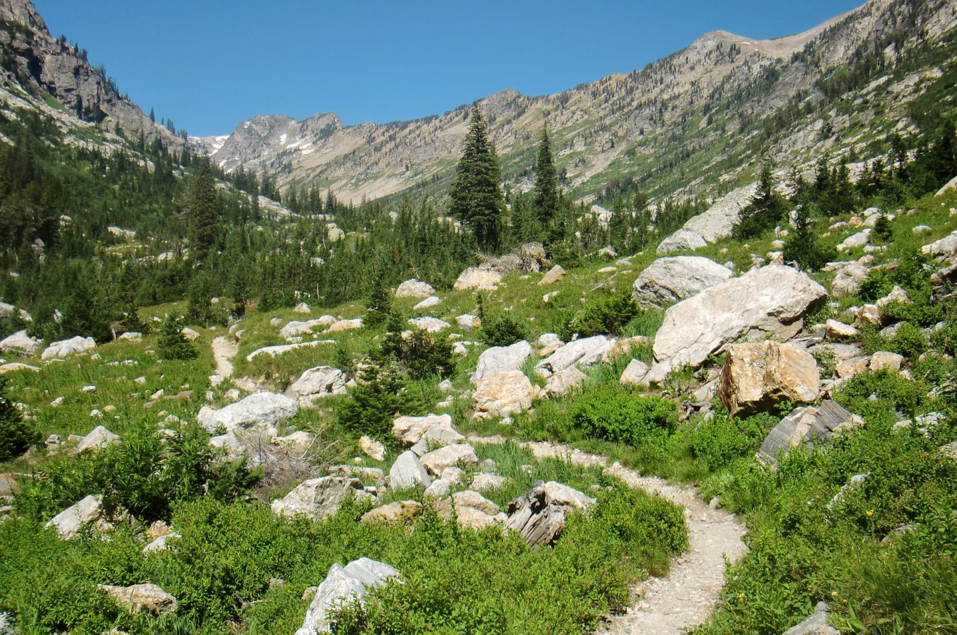 Tetons - 2011 — photo 1