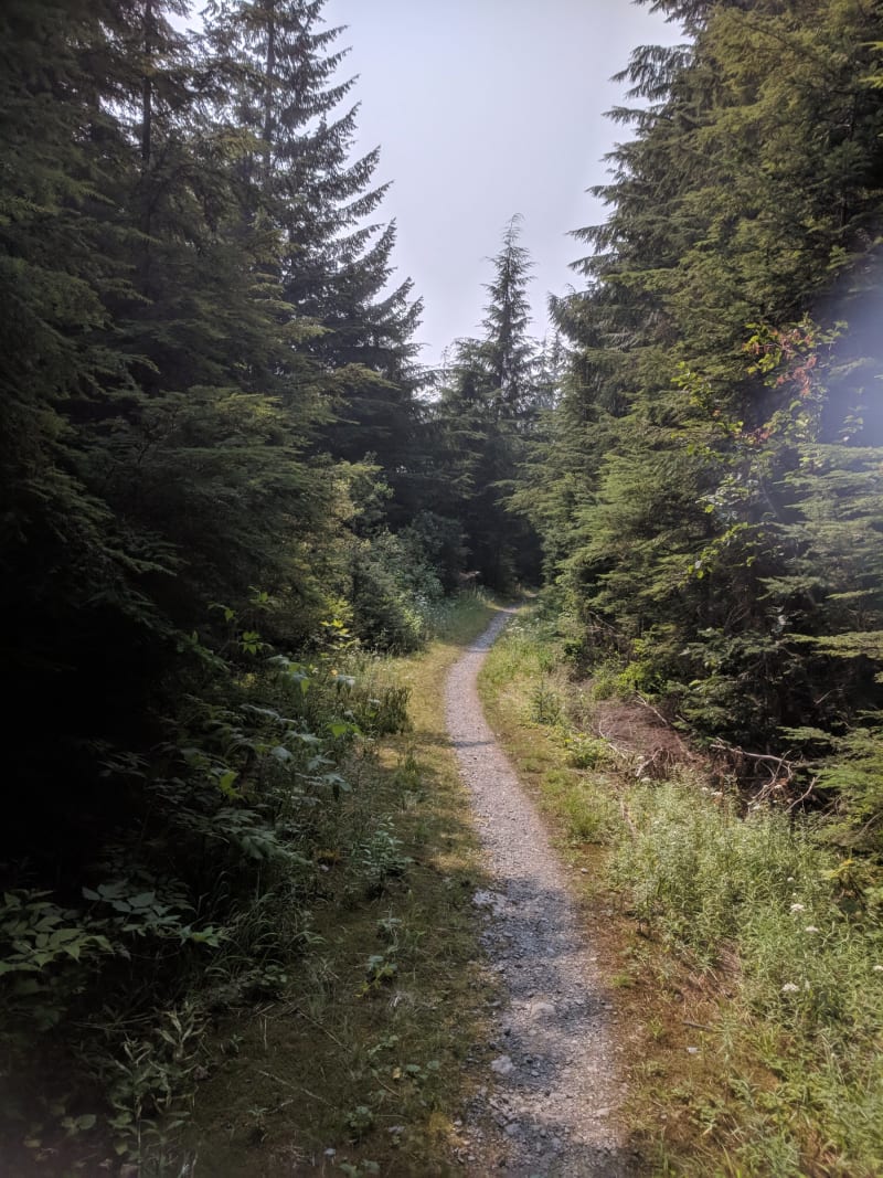 Mt.  Shuksan -2018 — photo 21