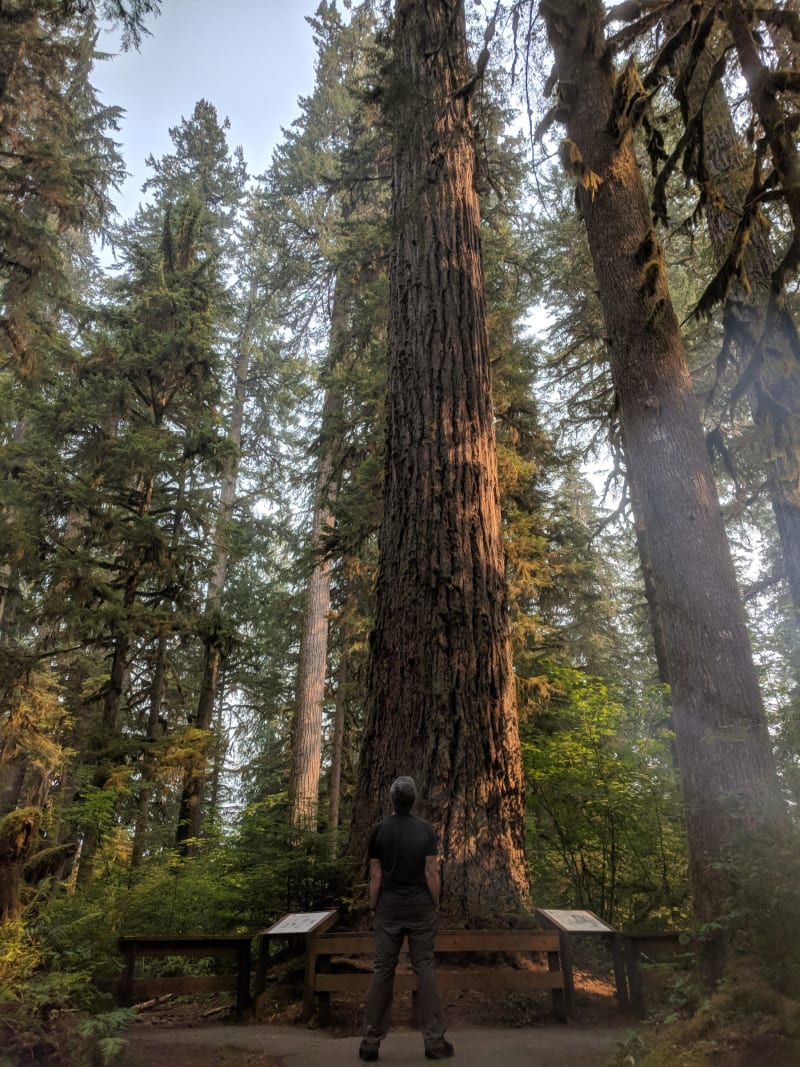 Mt.  Shuksan -2018 — photo 19