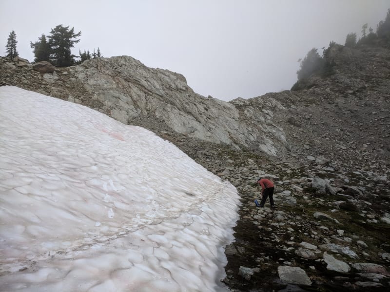 Mt.  Shuksan -2018 — photo 22
