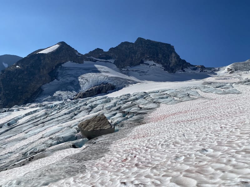 Bugaboos - 2022 — photo 57