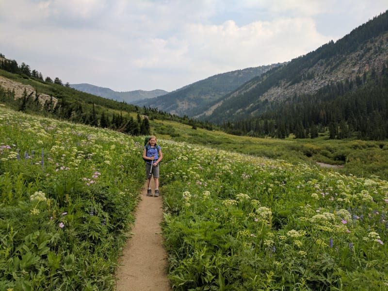 Tetons - 2017 — photo 67