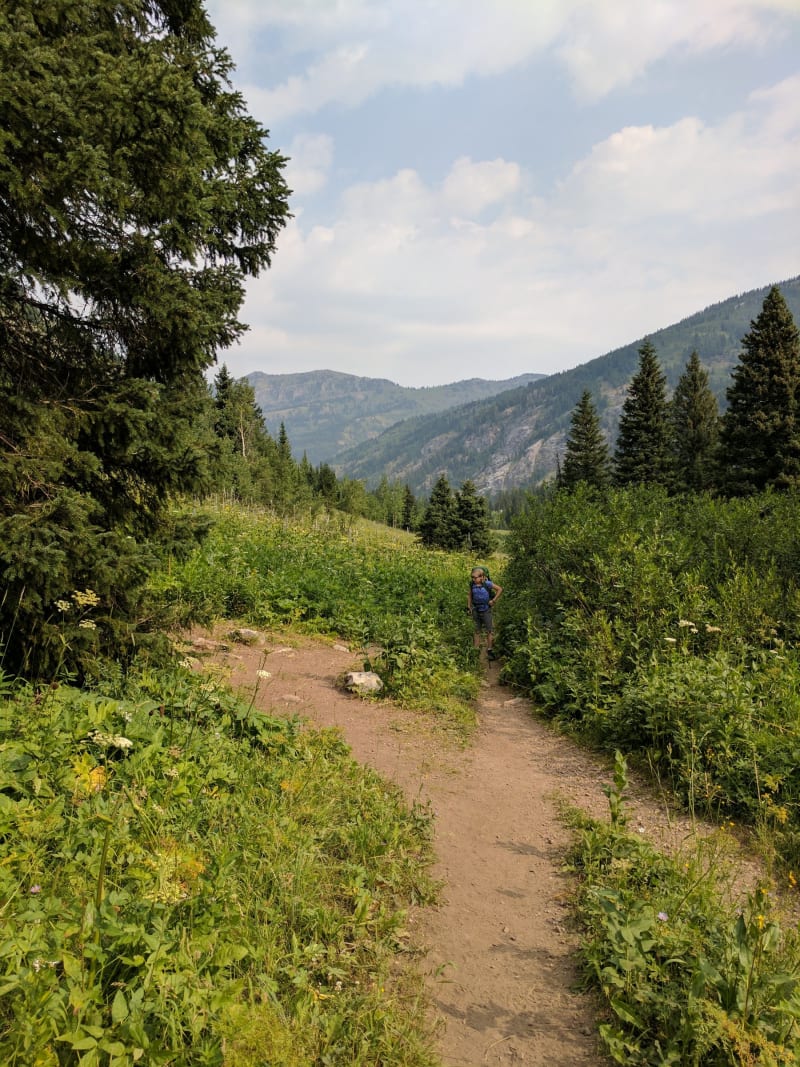 Tetons - 2017 — photo 137