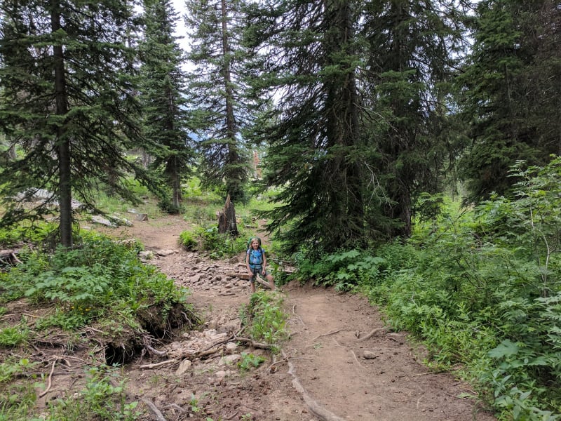 Tetons - 2017 — photo 140