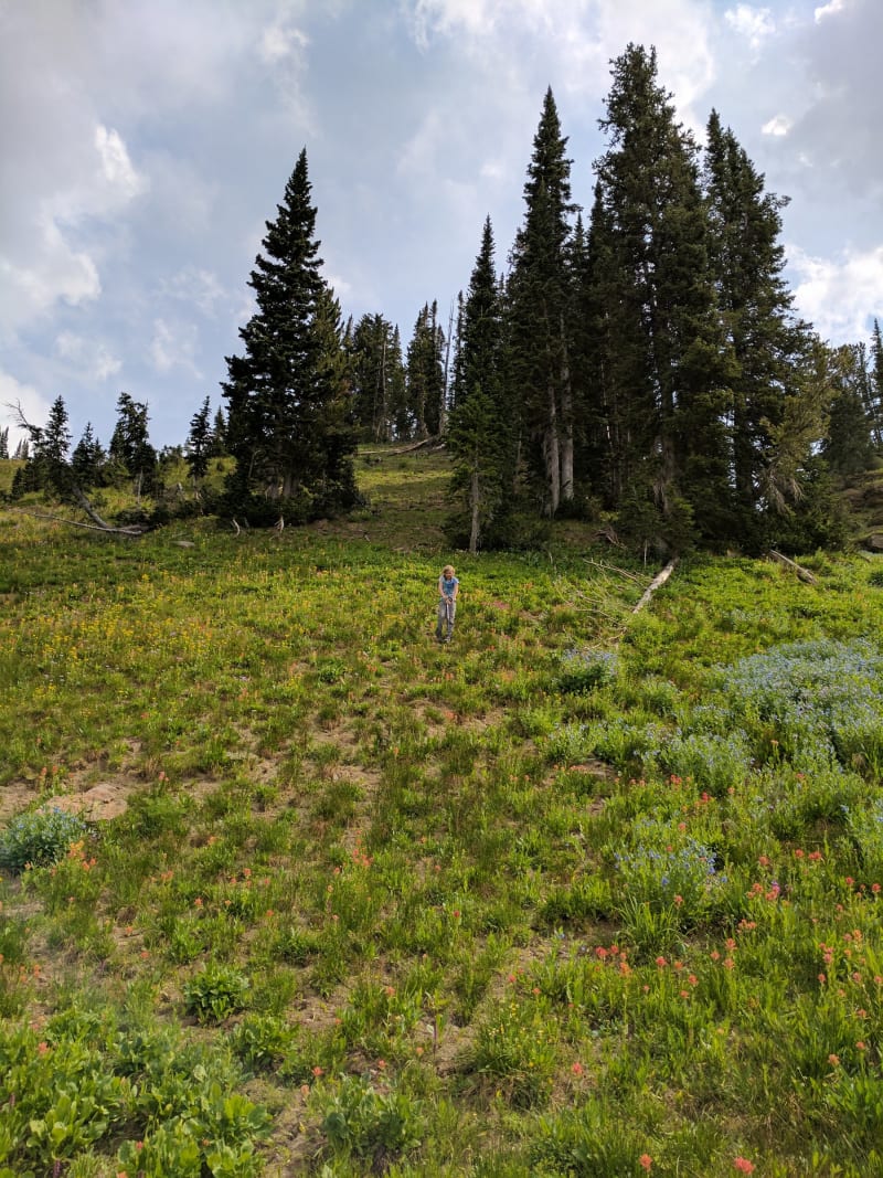 Tetons - 2017 — photo 149