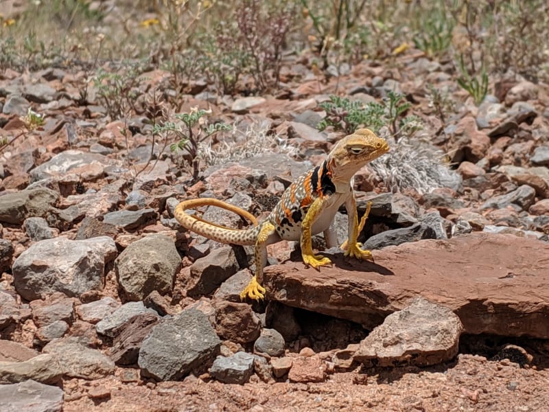 Moab - 2019 — photo 15
