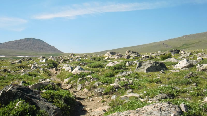 Gannett - 2013 — photo 3