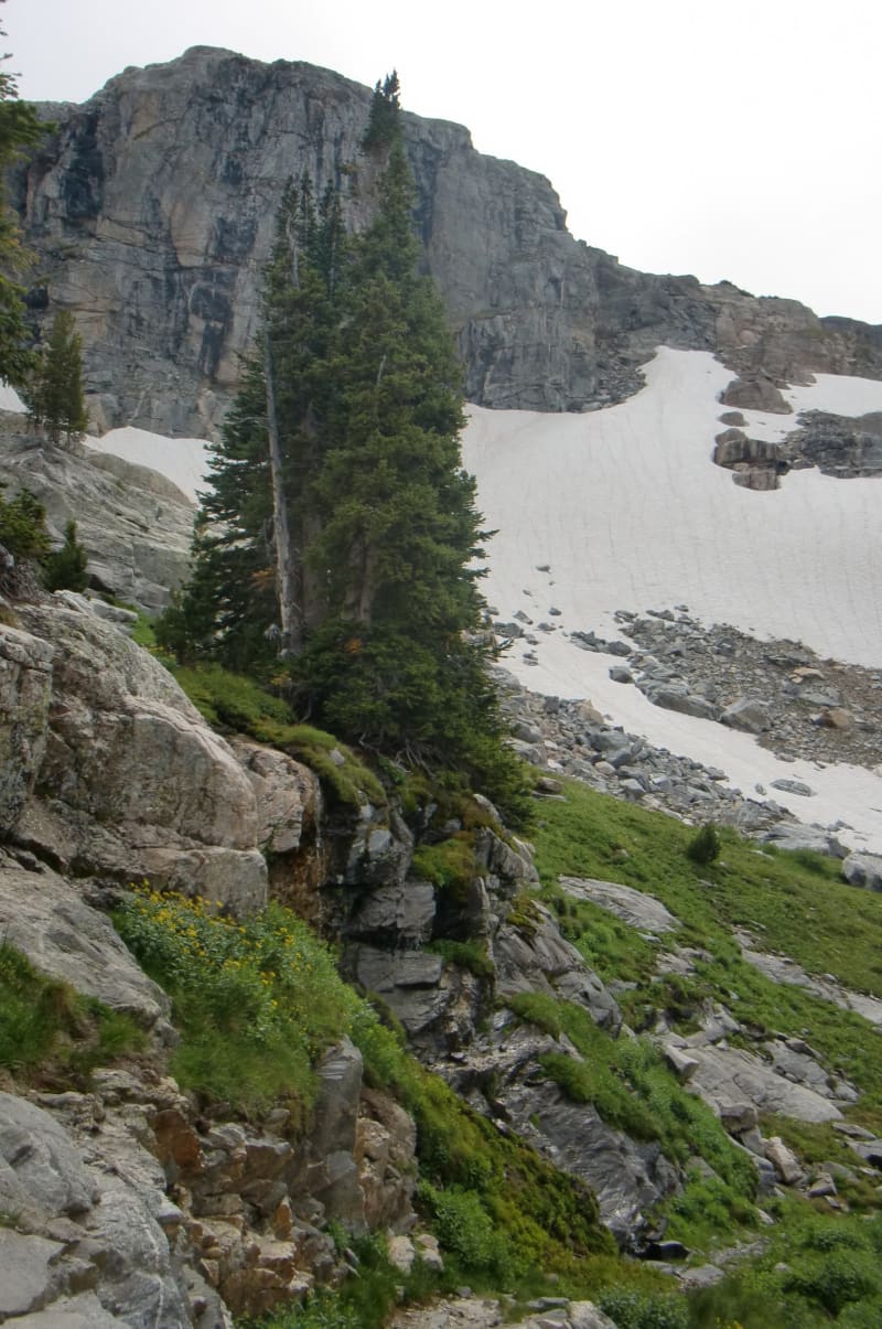 Tetons - 2011 — photo 20