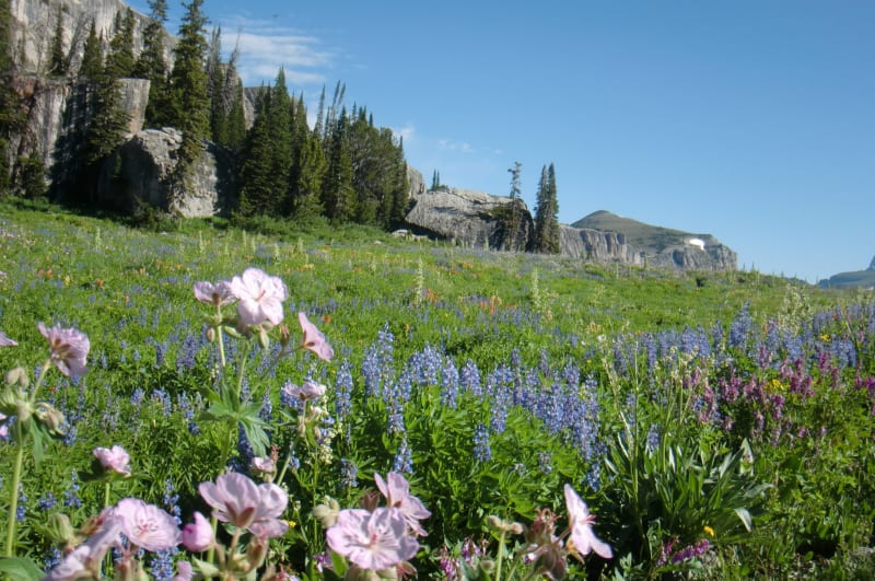 Tetons - 2011 — photo 67