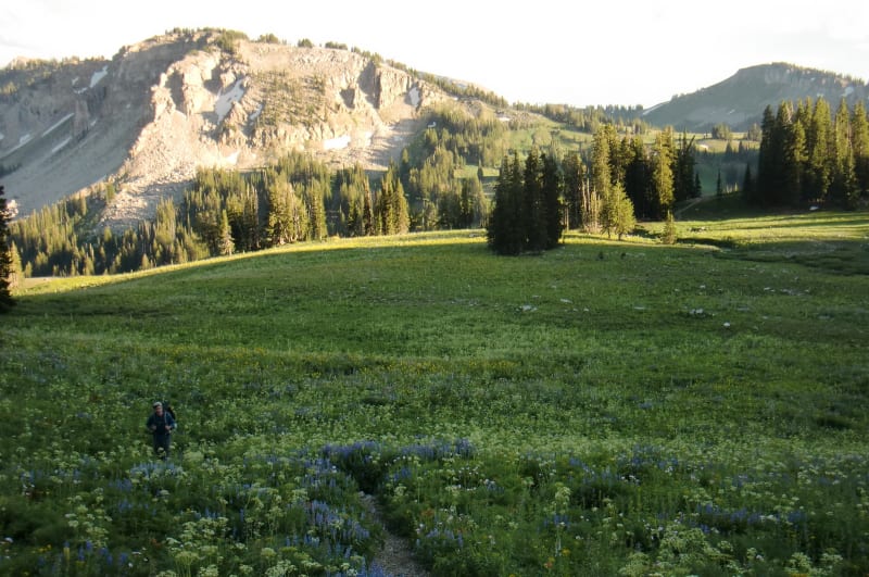 Tetons - 2011 — photo 80