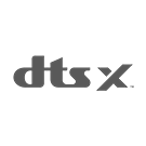 DTS:X