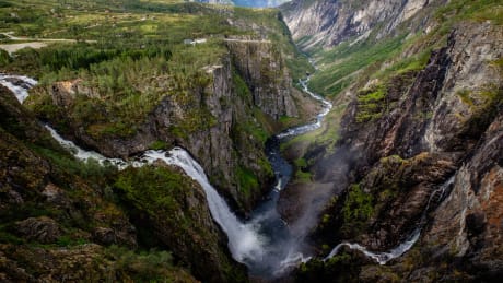 Hardanger i blomstring