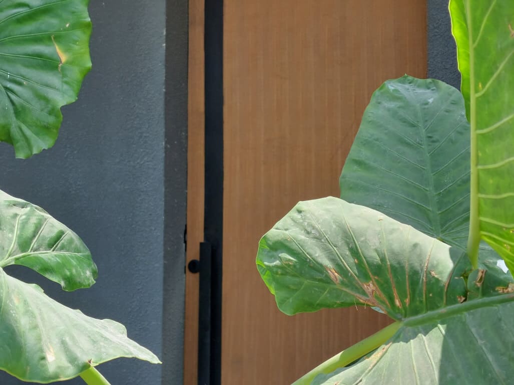 https://res.cloudinary.com/dcjmb18cy/image/upload/v1698831341/project/villa-tra-preview-1_grlkdt.jpg