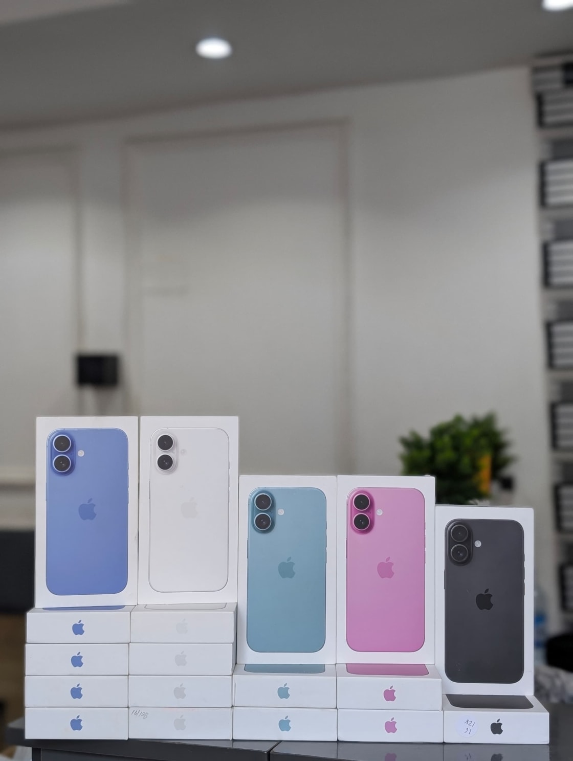 Iphone 16 plus 256gb 