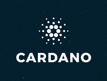 BitBrainers - Cardano Hits 5-Year Low While Hoskinson Warns the Bodies Are About to Start Dropping analysis and insights