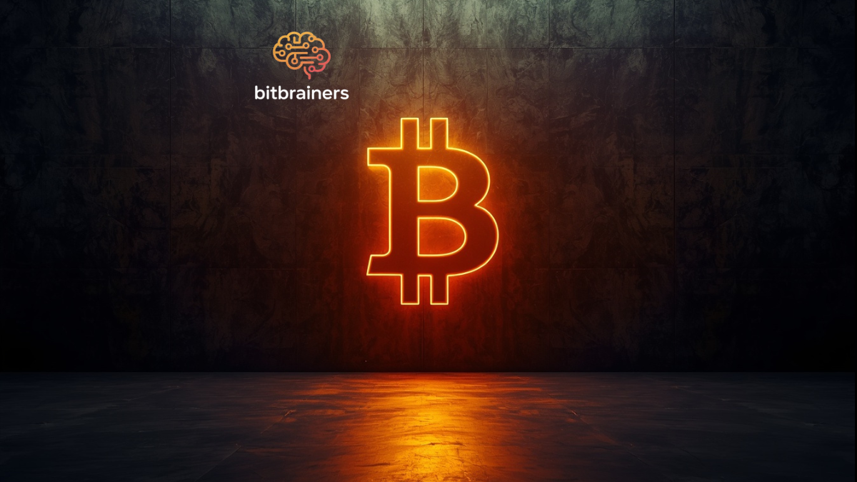 BitBrainers - Buying and Storing Bitcoin Without Getting Burned