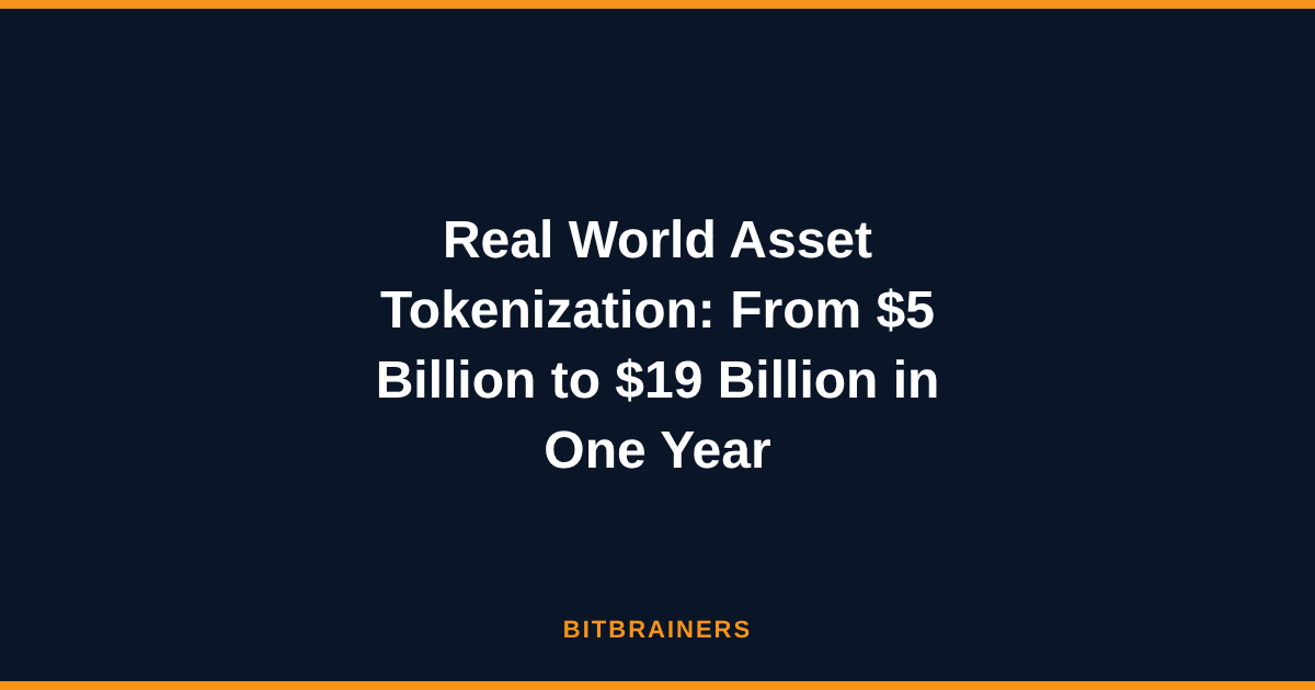 Real World Asset Tokenization: From $5 Billion to $19 Billion in One Year