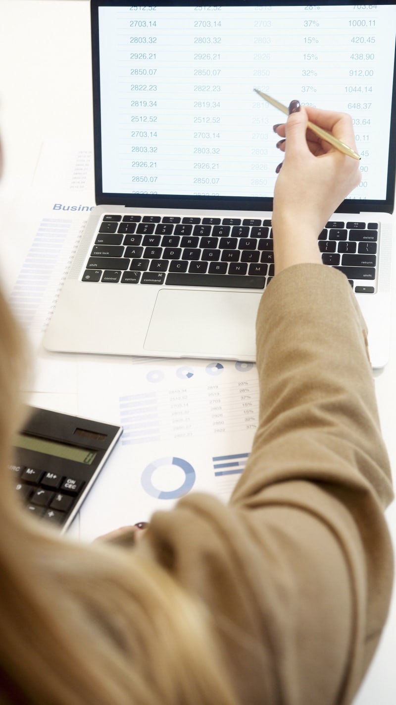 Accountant working in a professional office
