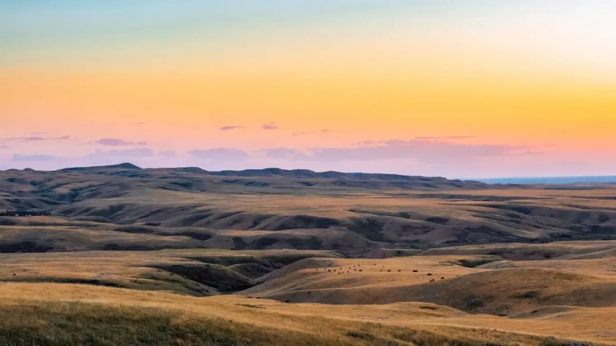 Brands Watkins Distributing