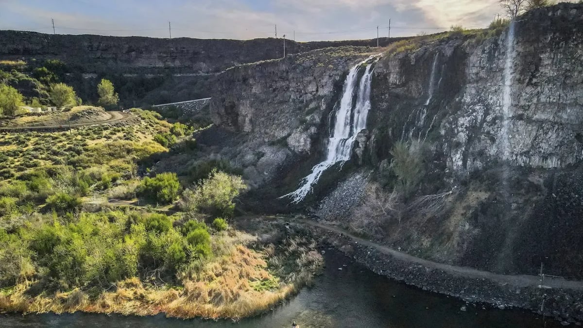 Brands Watkins Distributing