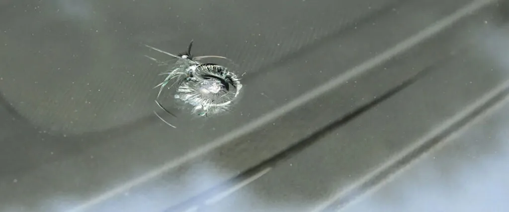 windshield chip repair service in fenton, auburn hills, sterling heights michigan