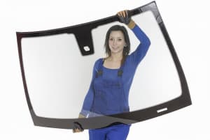Glasser with windscreen or windshield