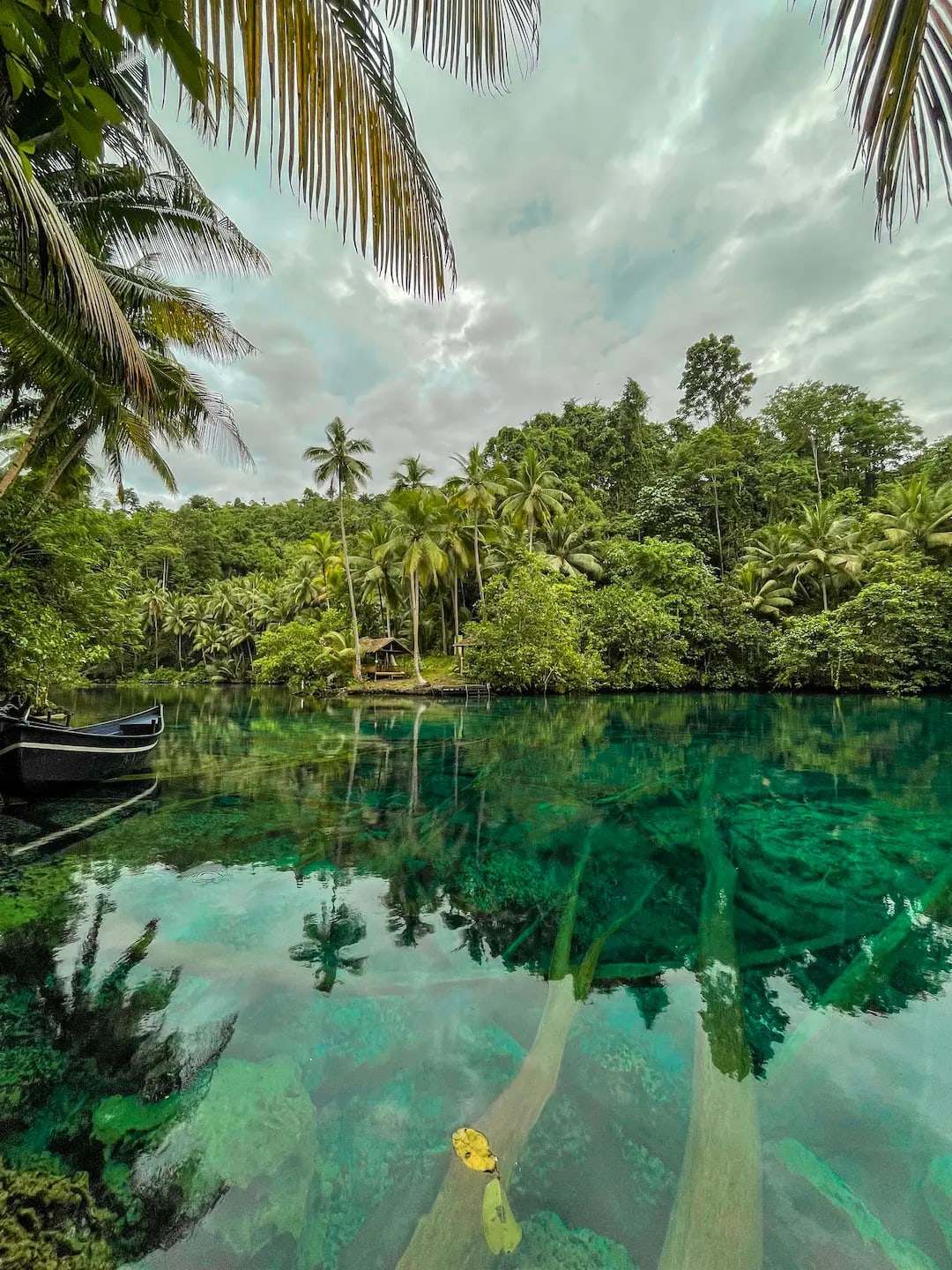 Luwuk Banggai - The Hidden Island of Indonesia (2025)