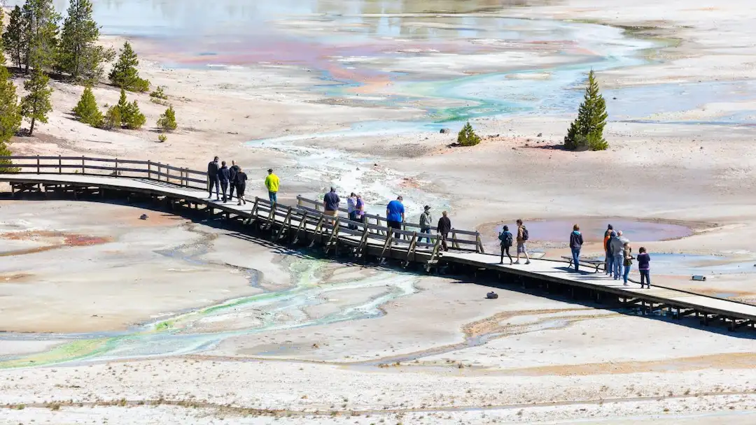 Norris Geyser Basin with walkway