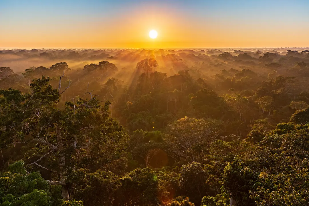 Early morning in Tambopata Reserve, Peru
