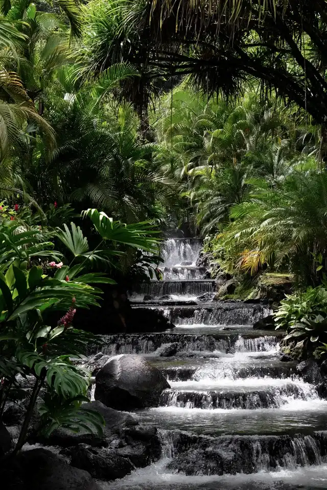 Arenal hot springs of Costa Rica