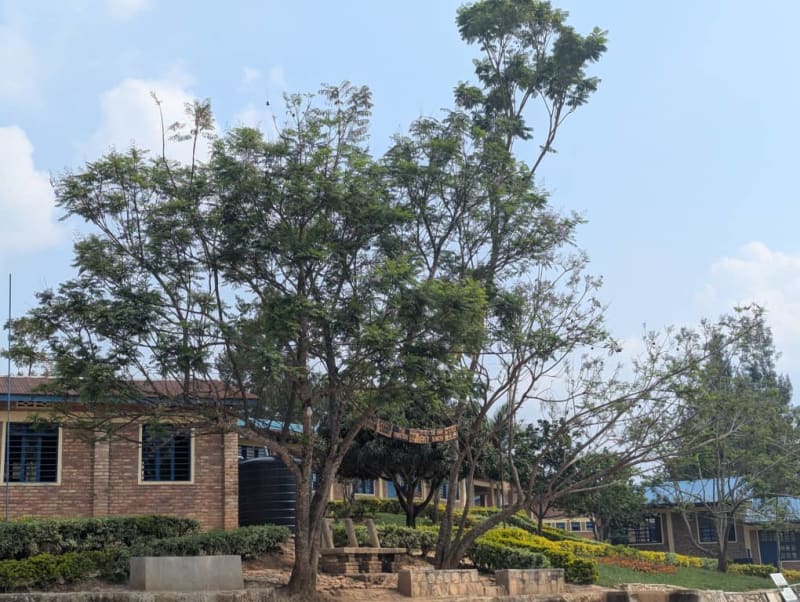 Classrooms Image