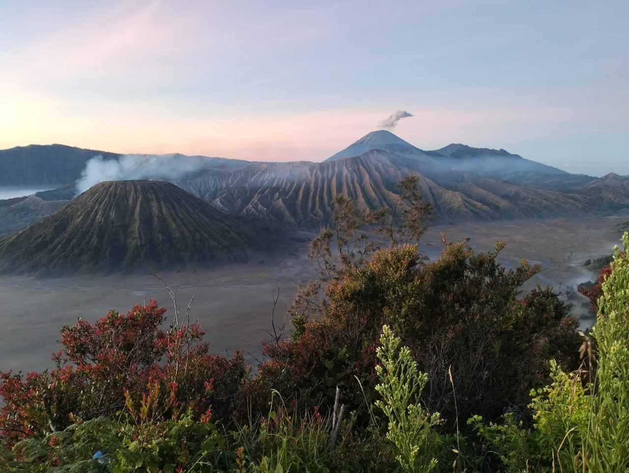 Bromo