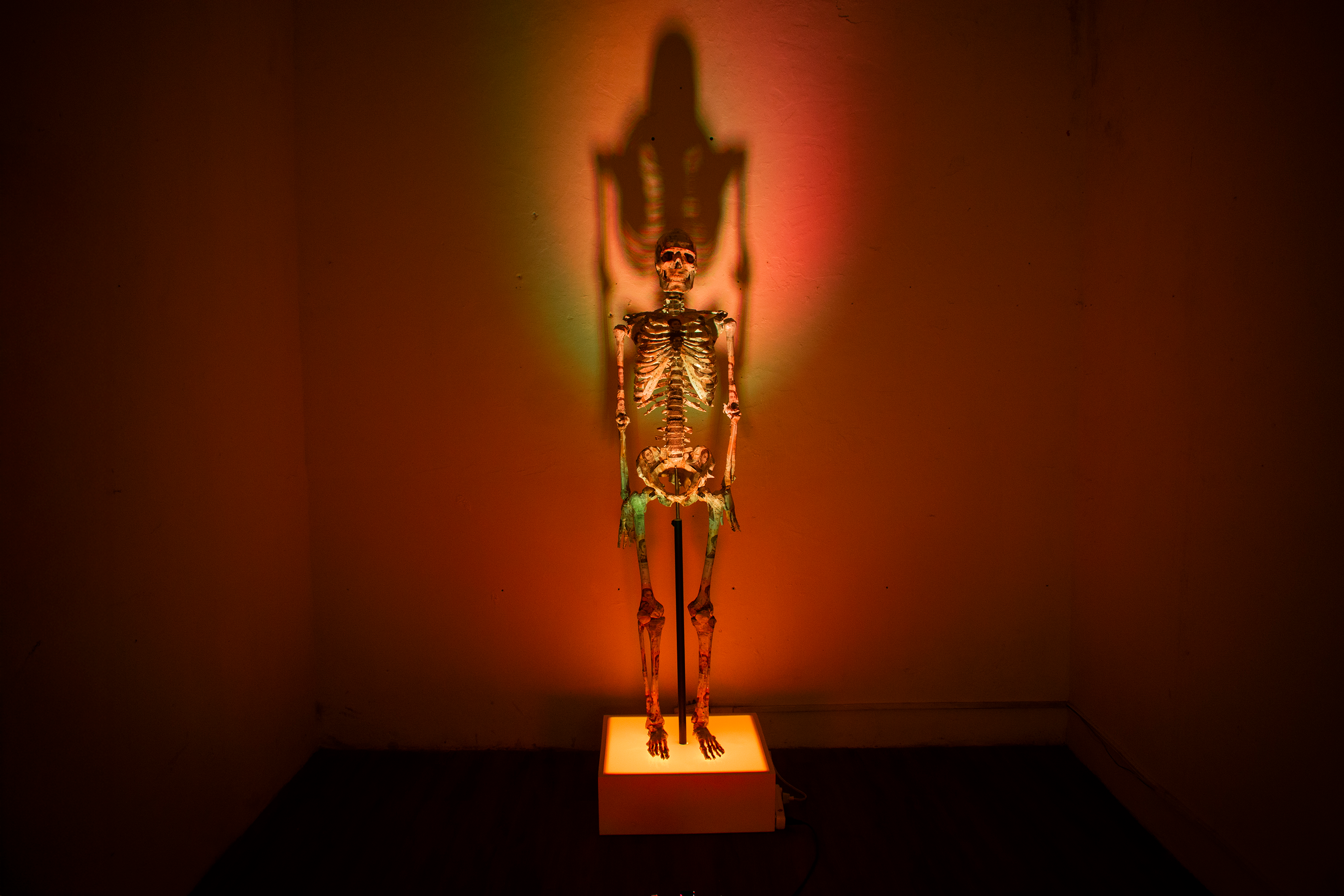 Price of Existence - Full installation view