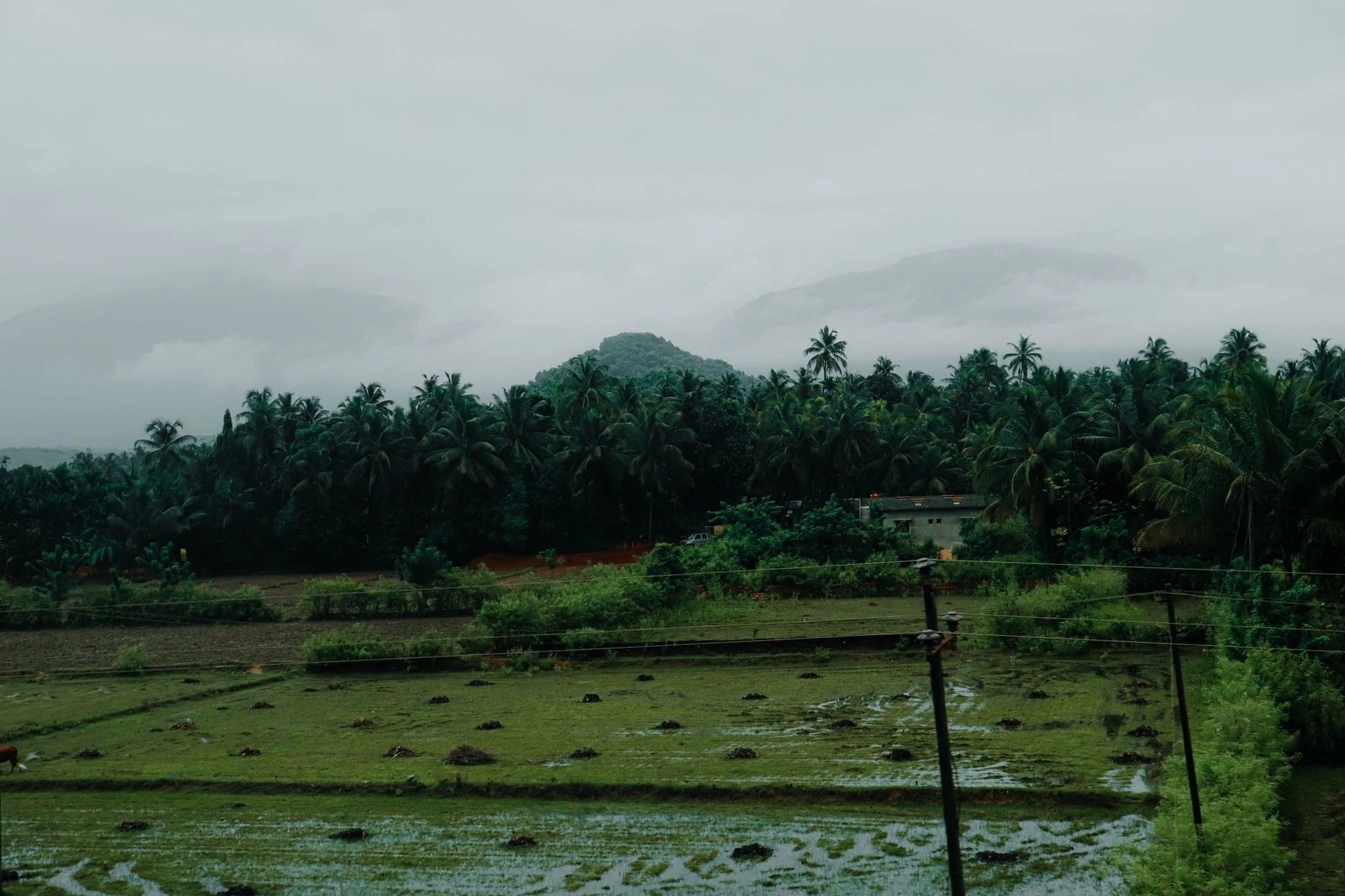 ಕರಾವಳಿಯಲ್ಲಿ ಭಾರೀ ಮಳೆ