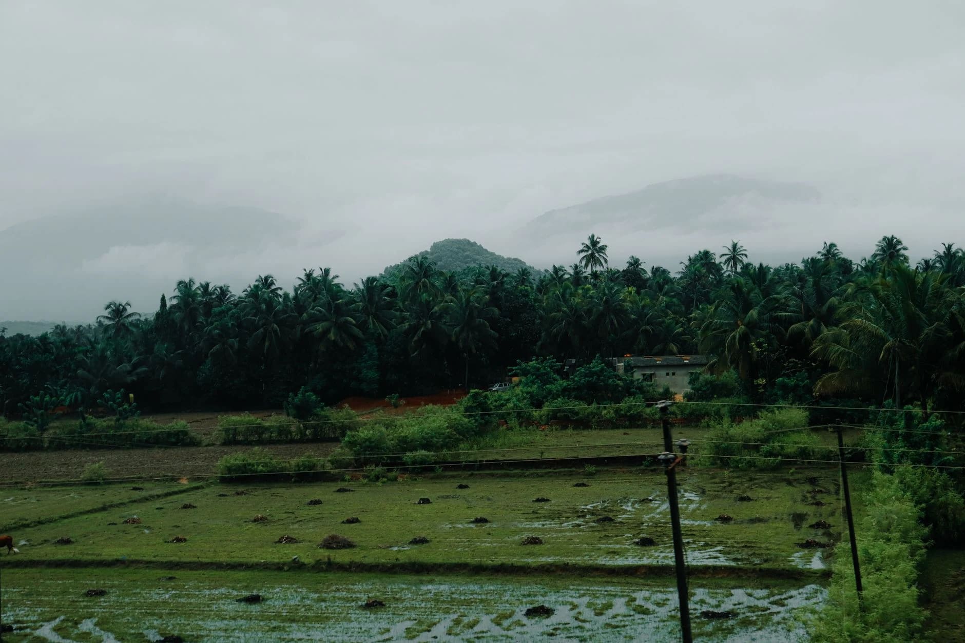 ಕರಾವಳಿಯಲ್ಲಿ ಭಾರೀ ಮಳೆ