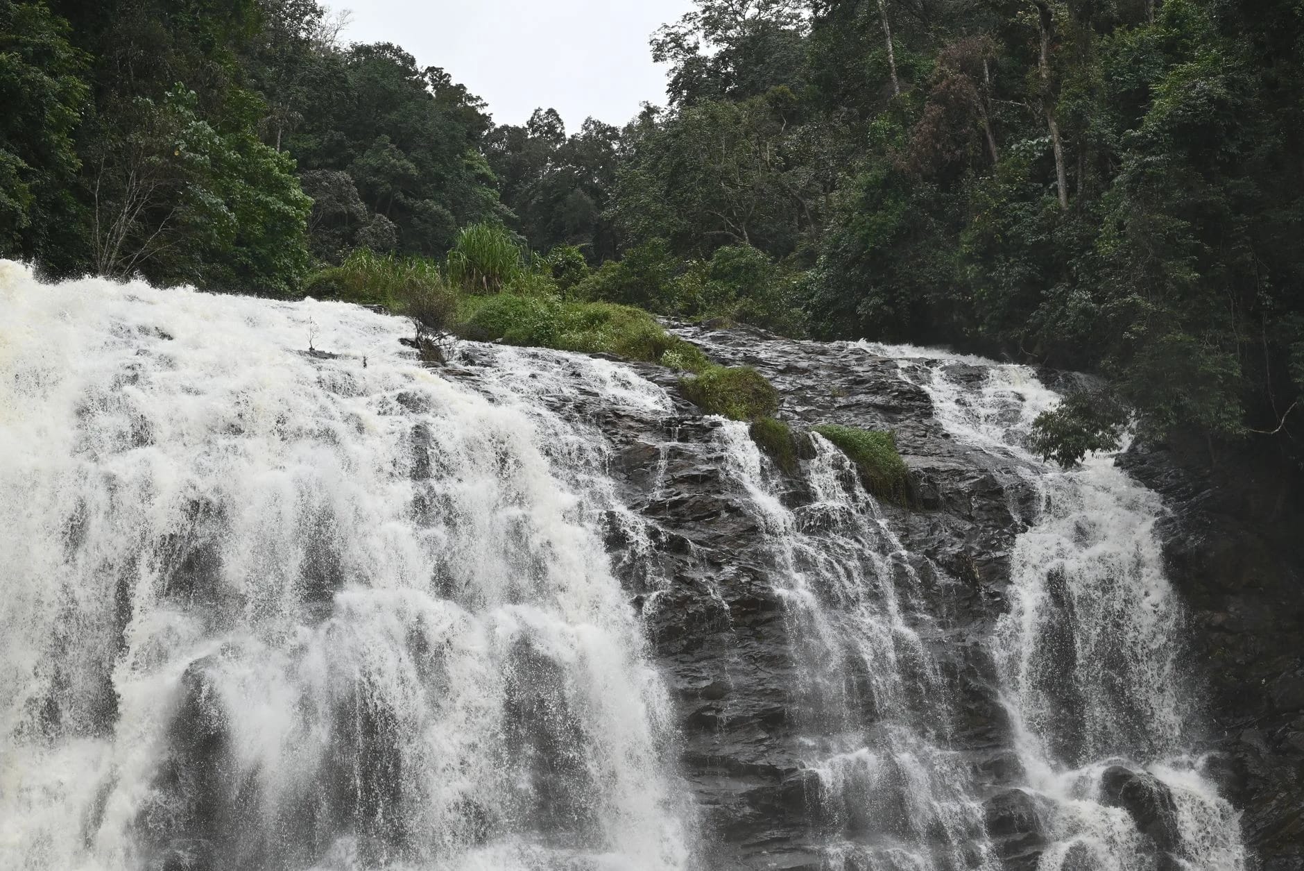 ಕೇರಳ ಮುಂಗಾರು ಅವಾಂತರ: 5 ಜಿಲ್ಲೆಗಳಿಗೆ ರೆಡ್ ಅಲರ್ಟ್, ಒಂದು ಜೀವ ಹಾನಿ