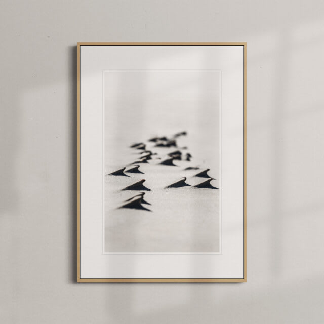 Wydma — fine art print