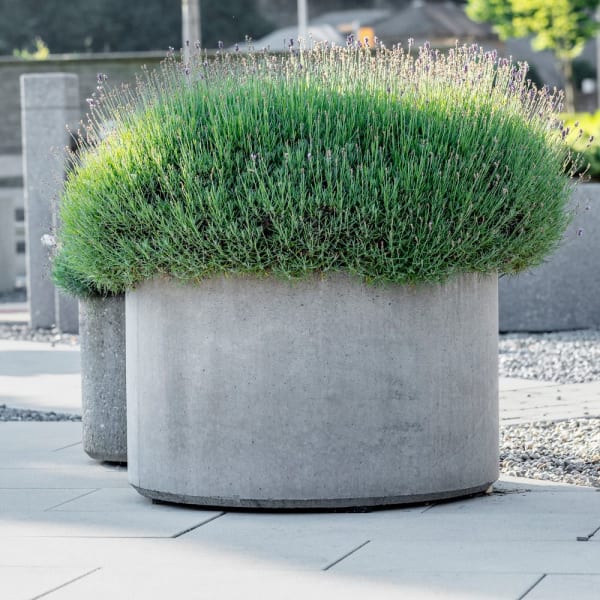 PARCO Pflanzentrog rund grau glatt D 50cm H 40cm-thumbnail