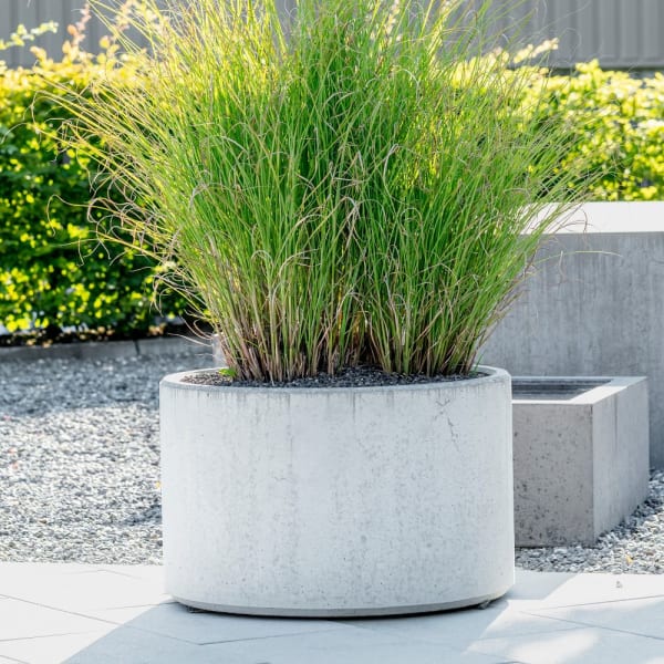 PARCO Pflanzentrog rund grau gestrahlt D 50cm H 40cm-thumbnail