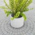 RESIDENZA Pflanzentrog rund gestrahlt OD 50 cm H 40 cm W 4 cm R 25 cm 