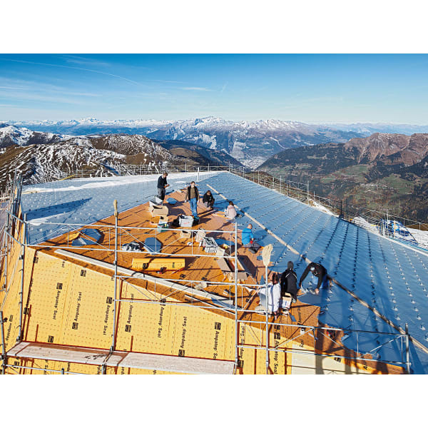 Ampatop Seal-thumbnail