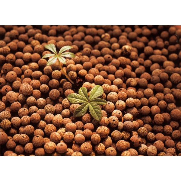 Blähton Liaflor 4-8 mm 50 L-thumbnail