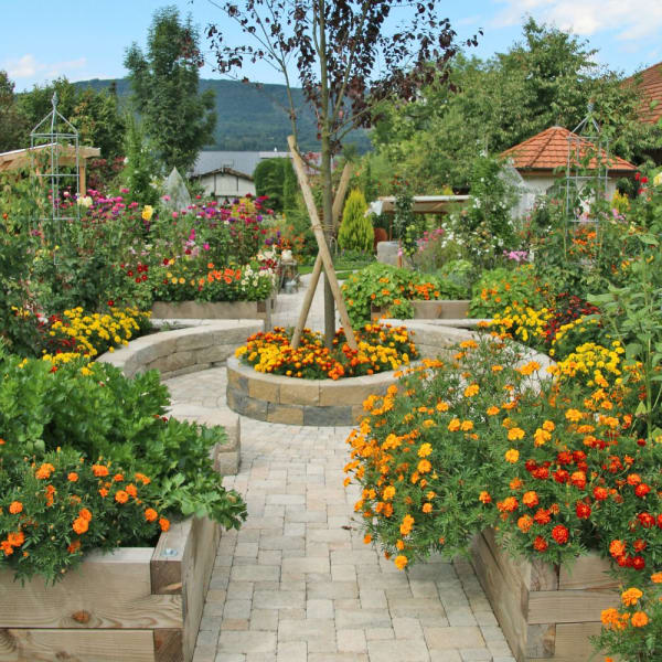 TEGULA Pflasterstein solea glatt L 22 cm B 16 cm H 6 cm -thumbnail