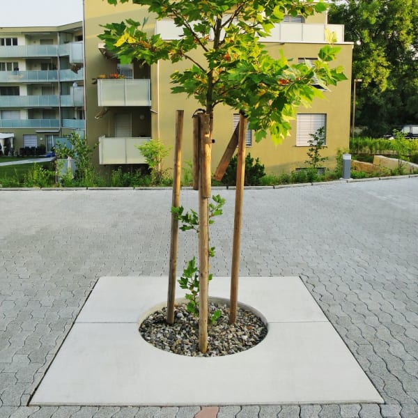 BAUMFIX Baumscheibe Besenstrich mit eckiger Aussparung L 300 B 150 H 20 cm-thumbnail