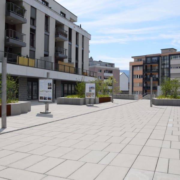 FINALGO Vakuum Gehwegplatte grau gestrahlt gefast L 100 B 50 H 5 cm -thumbnail