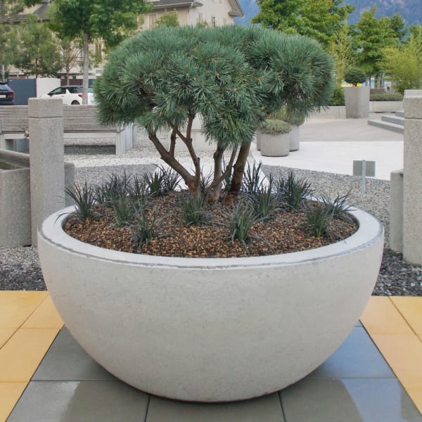 RONDO Pflanzenschale-thumbnail