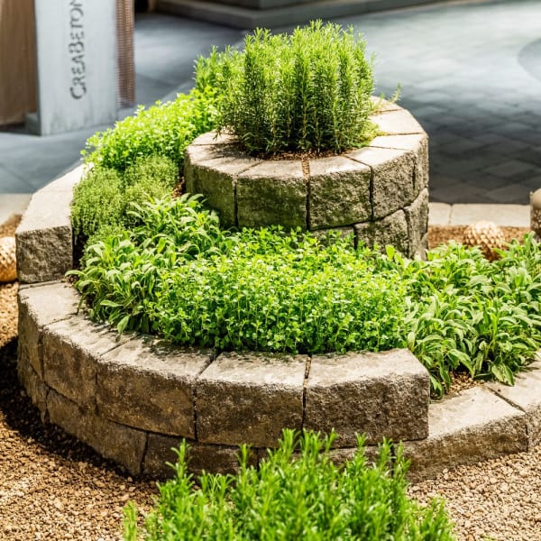 SANTURO Kräuterschnecke Finito-thumbnail