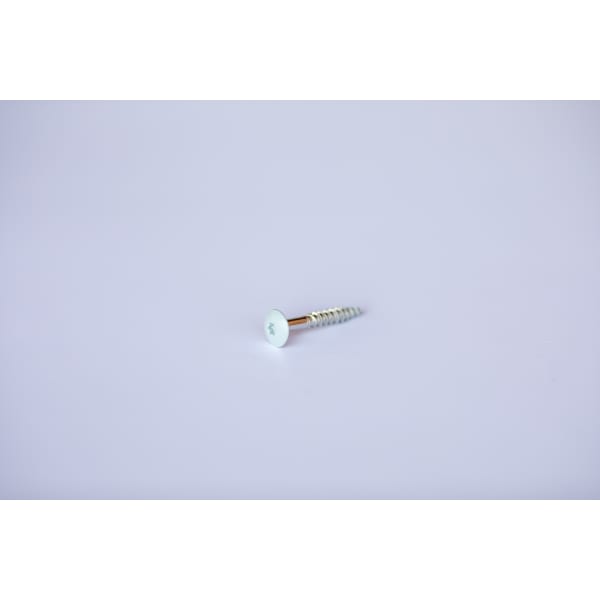 Fassadenschrauben lackiert-thumbnail