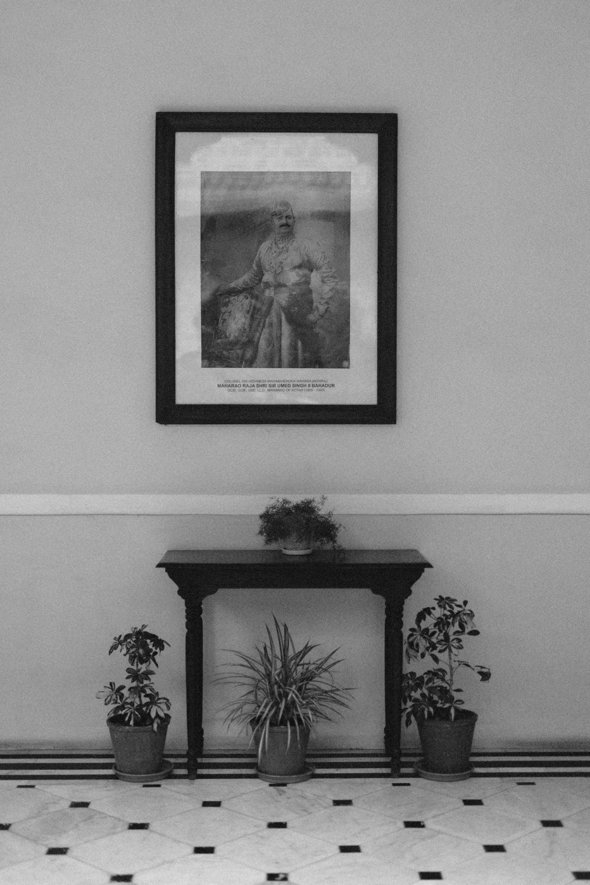 Gallery image 12