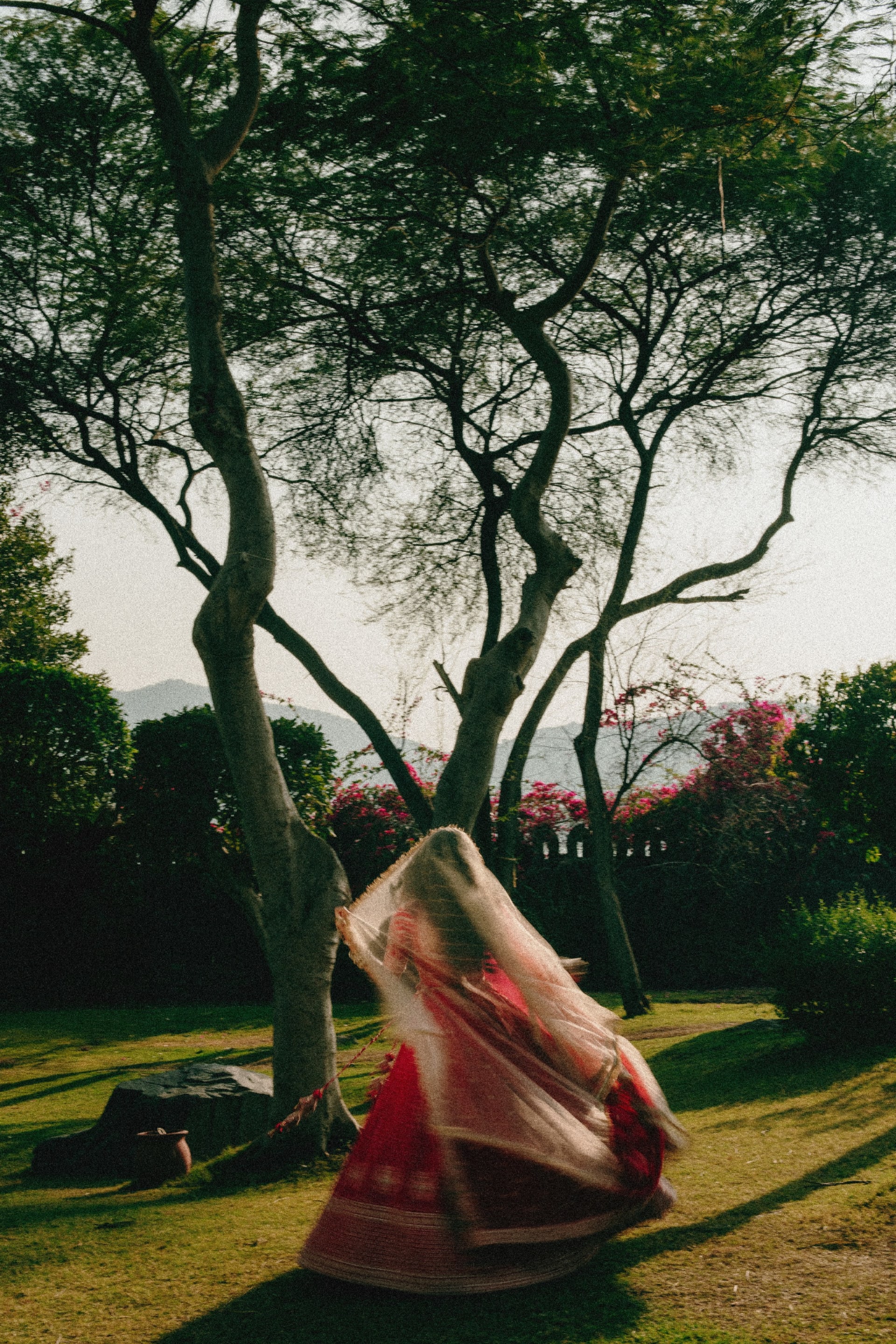 Vasu & Janvi  photo 6